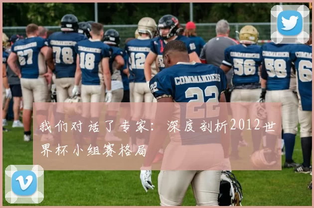 我们对话了专家:深度剖析2012世界杯小组赛格局