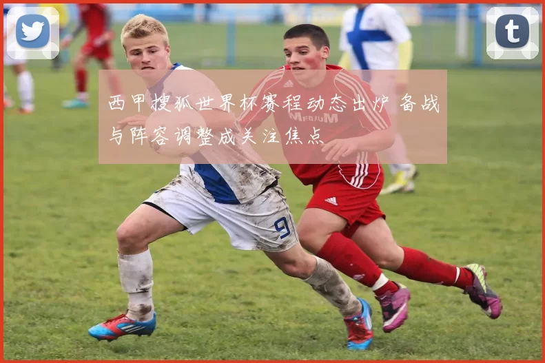 西甲搜狐世界杯赛程动态出炉 备战与阵容调整成关注焦点