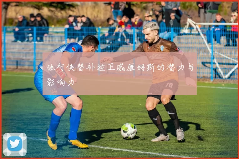 独行侠替补控卫威廉姆斯的潜力与影响力