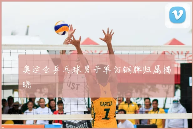 奥运会乒乓球男子单打铜牌归属揭晓