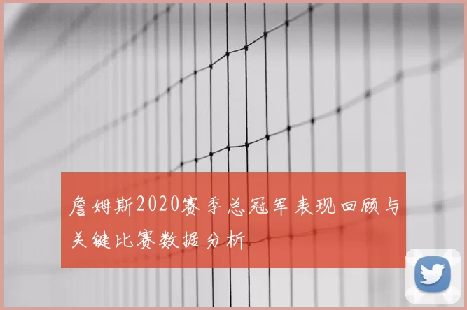 詹姆斯2020赛季总冠军表现回顾与关键比赛数据分析