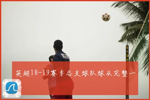 英超18-19赛季各支球队球衣完整一览