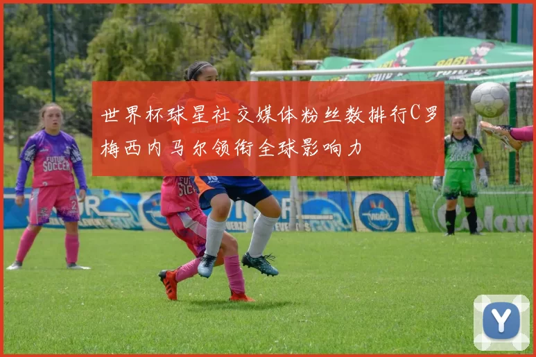 世界杯球星社交媒体粉丝数排行C罗梅西内马尔领衔全球影响力