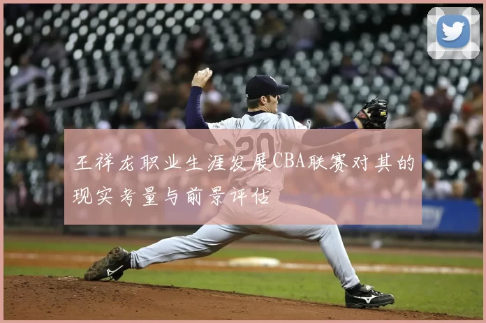 王祥龙职业生涯发展CBA联赛对其的现实考量与前景评估