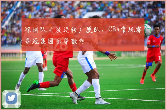 深圳队主场逆转广厦队，CBA常规赛争冠集团竞争激烈