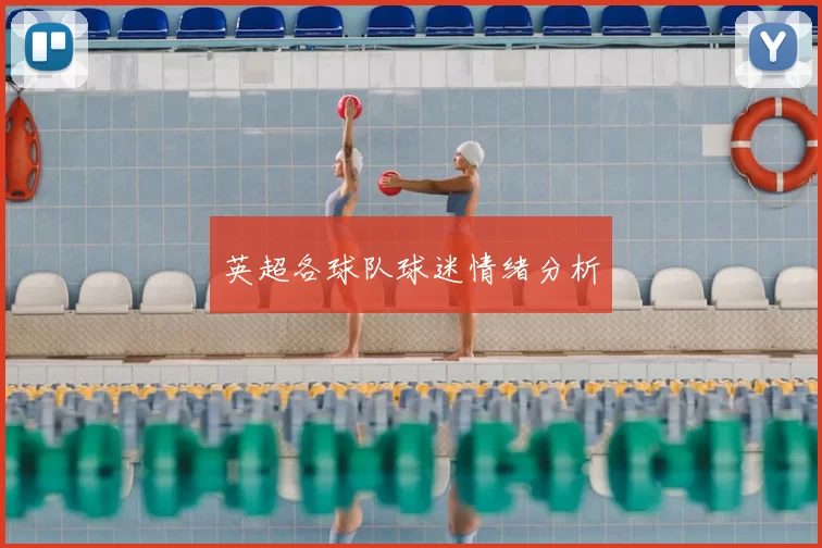 英超各球队球迷情绪分析