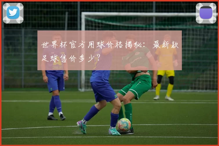 世界杯官方用球价格揭秘：最新款足球售价多少？