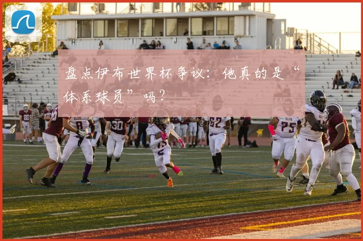 盘点伊布世界杯争议:他真的是“体系球员”吗?