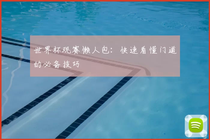 世界杯观赛懒人包：快速看懂门道的必备技巧