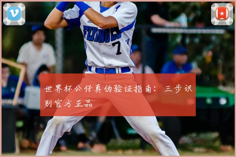 世界杯公仔真伪验证指南：三步识别官方正品