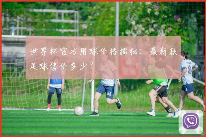 世界杯官方用球价格揭秘：最新款足球售价多少？
