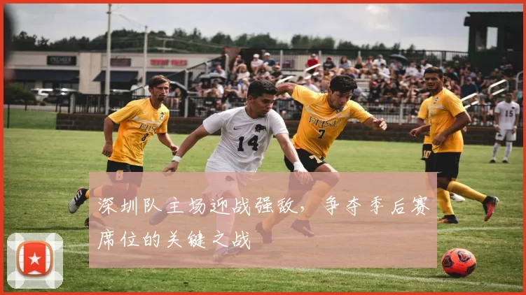 深圳队主场迎战强敌，争夺季后赛席位的关键之战