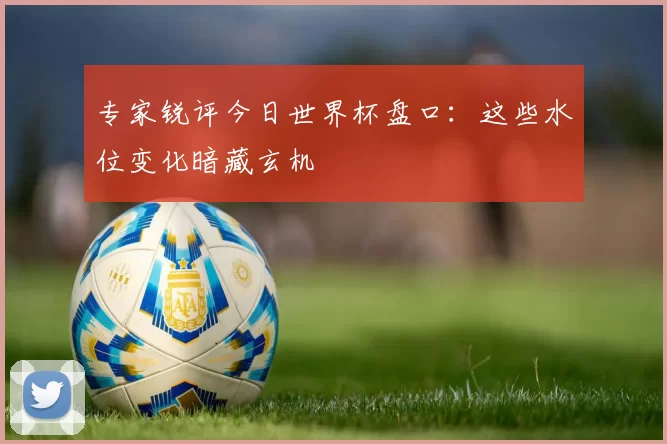 专家锐评今日世界杯盘口：这些水位变化暗藏玄机