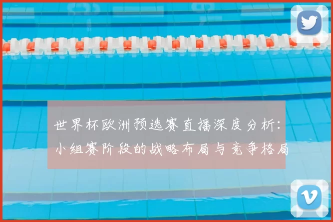 世界杯欧洲预选赛直播深度分析:小组赛阶段的战略布局与竞争格局