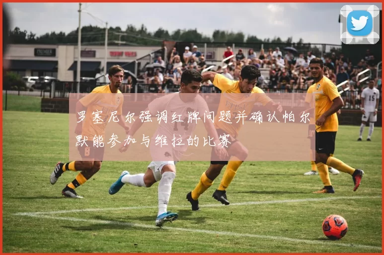 罗塞尼尔强调红牌问题并确认帕尔默能参加与维拉的比赛